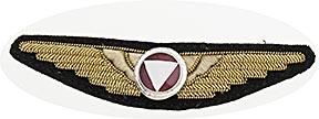 Hand- oder Maschinengesticktes Emblem