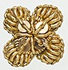 Rosette