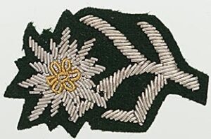 Schütze